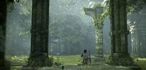 Shadow Of The Colossus Secret Garden Trophy