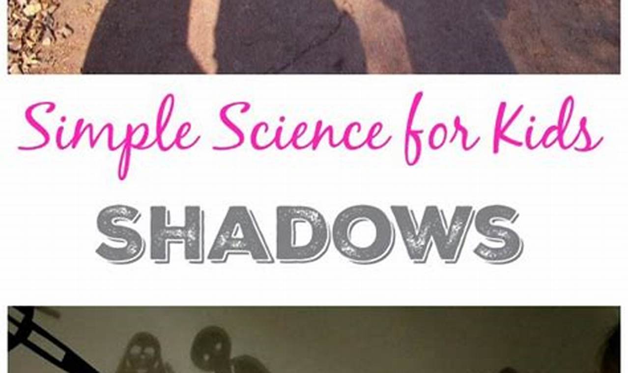 shadow science experiments for kindergarten