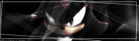 shadow the hedgehog banner