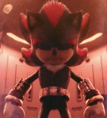 shadow the hedgehog history