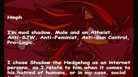 shadow the hedgehog is a bi copypasta