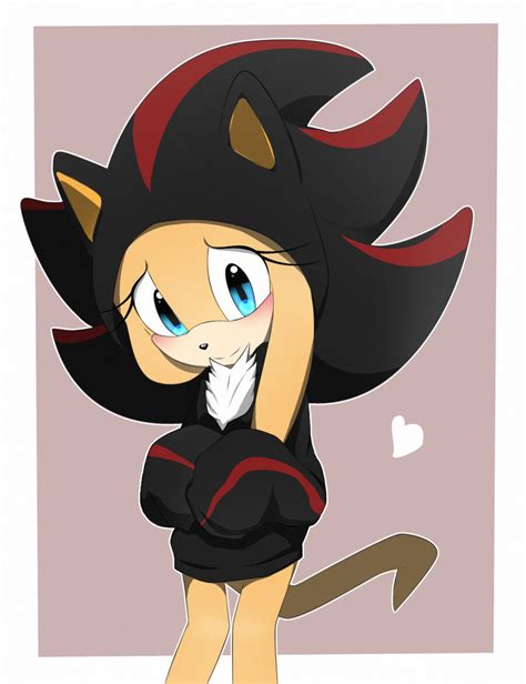 shadow the hedgehog wearing a hoodie