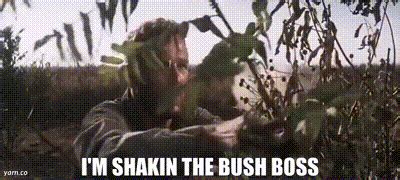 shaking the bush boss movie