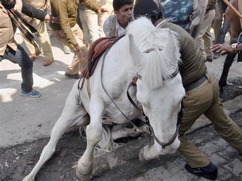Shaktiman Horse Death Video