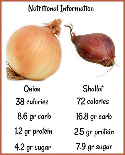 Shallots Carbs