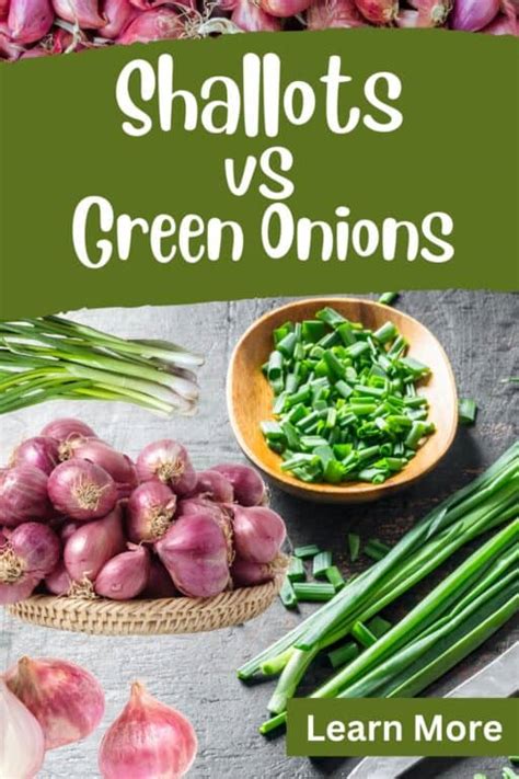 Shallots Green Onions Differences
