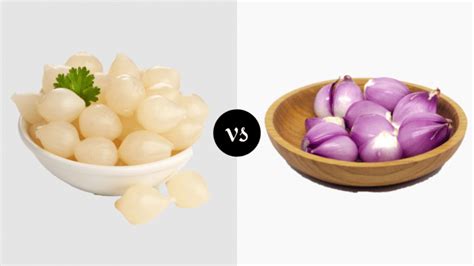 Shallots Pearl Onions Difference