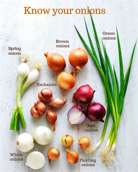 Shallots Vs Red Pearl Onions