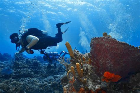 shallow water diving