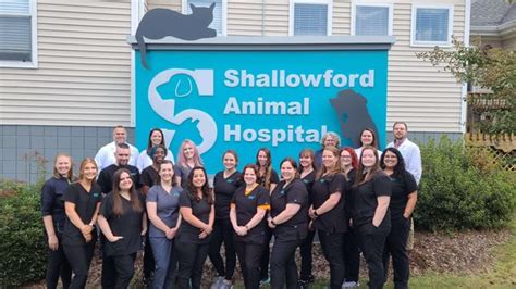 shallowford animal hospital chattanooga