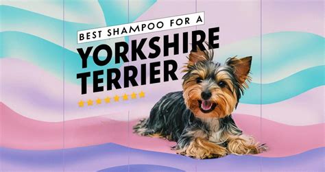 Shampoo Pet Yorkshire