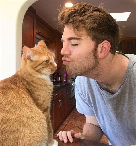 shane dawson cat incident