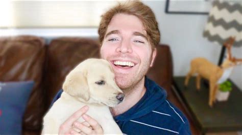 Shane Dawson Dog