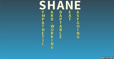 shane meaning in hindi