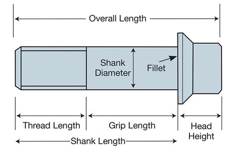 Shank Size Meaning