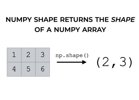 shape function in python numpy