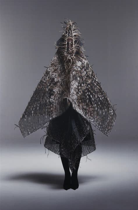 shapiro fernanda harem