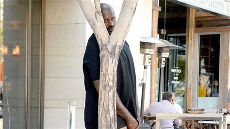 Shaq Behind Tree
