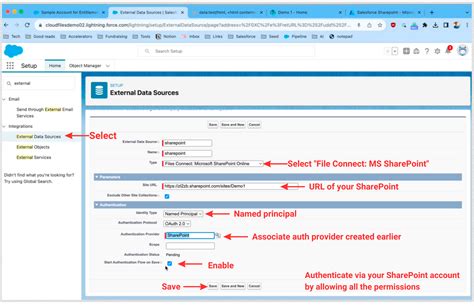 share files with external users salesforce