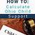 shared parenting child support calculator ohio