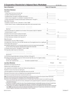 Shareholder Basis Worksheet Pdf Free Printable Worksheets
