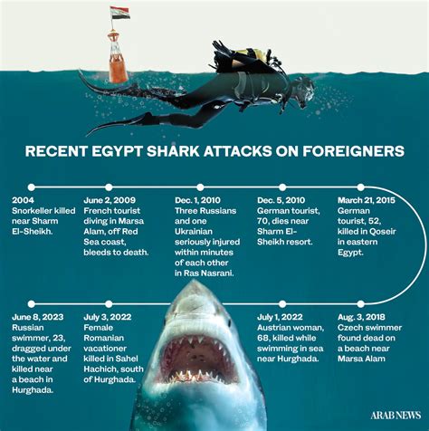 shark attack egypt red sea video news