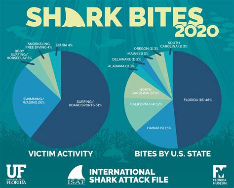 shark attacks in 2023