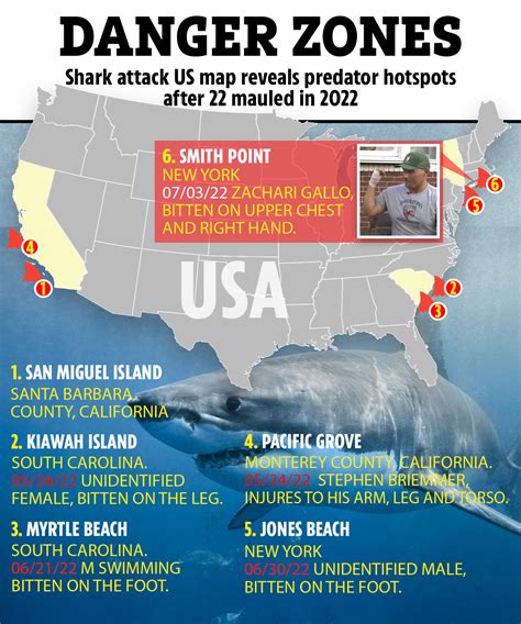 shark attacks in california 2022