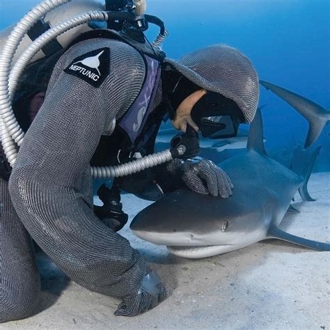 Shark Diving Chainmail