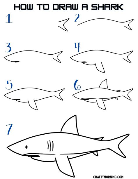 Shark drawing materials