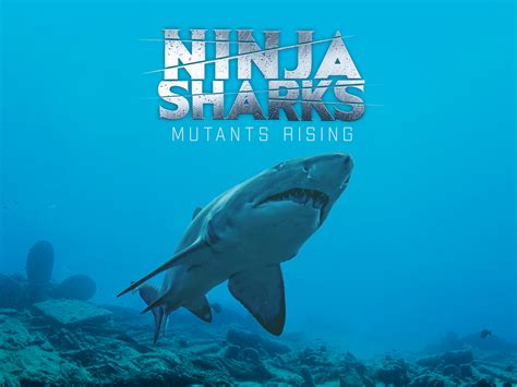 shark ninja account sign in