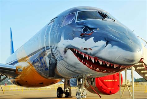 Shark Paint On Plane