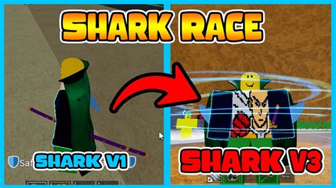 shark race v1 to 3
