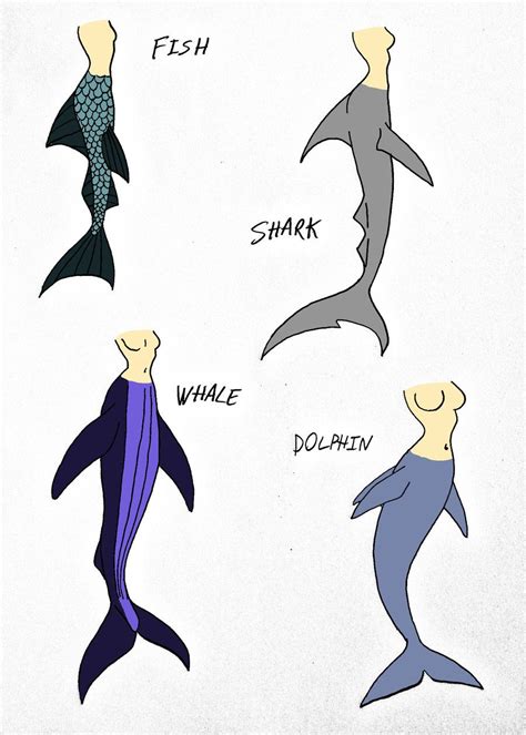 Shark Tail Drawing