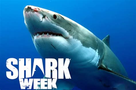 shark week 2022 dates