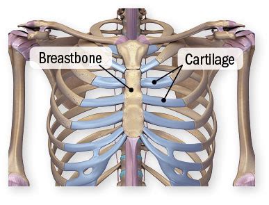 Sharp Pain In Breastbone When Breathing