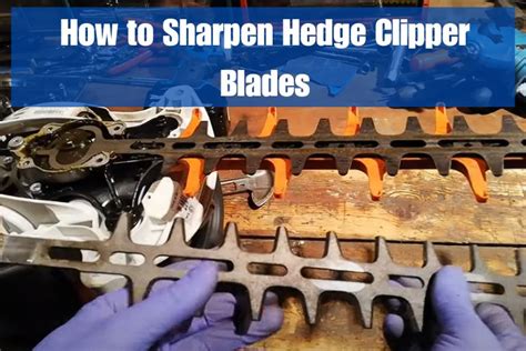 Sharpening Hedge Clipper Blades