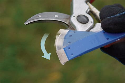 Sharpening Tree Pruner Blade