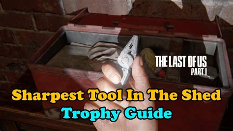 The Sharpest Tool In The Shed