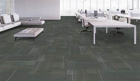 tweed 5A111 Shaw Contract Group Commercial Carpet and Flooring