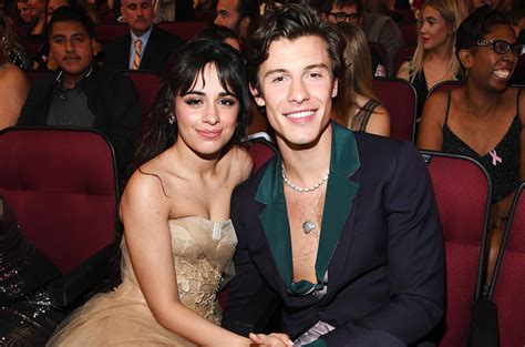 shawn mendes / camila cabello