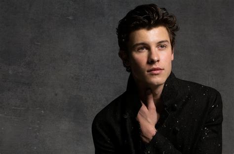 shawn mendes presale code