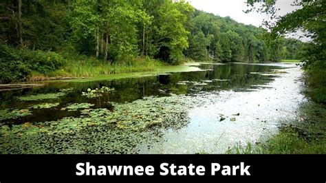 Exploring Shawnee State Forest: A Nature Lover's Paradise