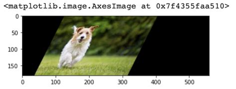 Shear Image Python