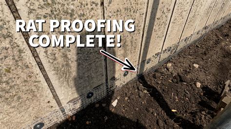 shed rodent proofing