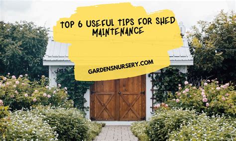 shed useful tips