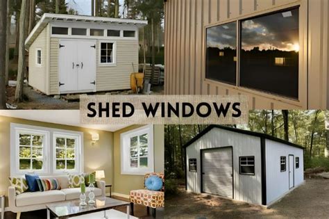 shed window types