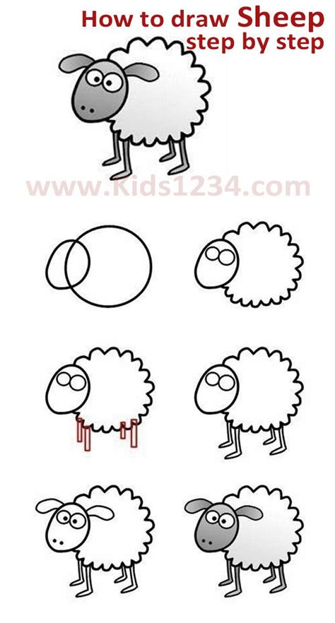 How To Draw Sheep Step By Step Cartoon Illustration With