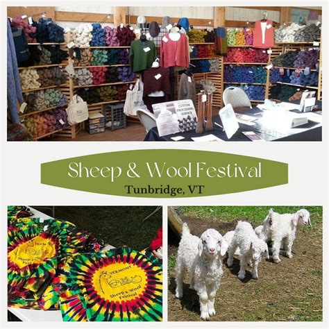 sheep and wool festival 2023
