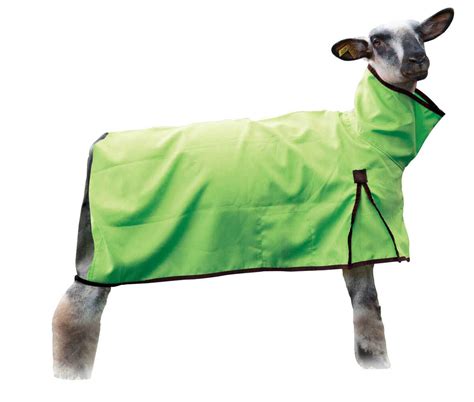 Sheep Blankets And Tubes